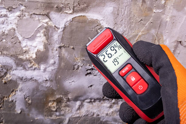 Best Post-Flood Mold Remediation in Woodmore, MD