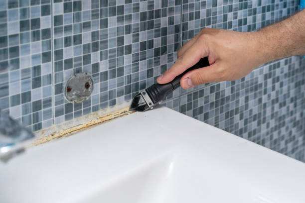 Best Residential Mold Remediation in Woodmore, MD