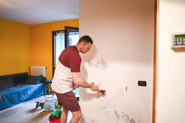 Best Mold Testing and Inspection Services in Woodmore, MD